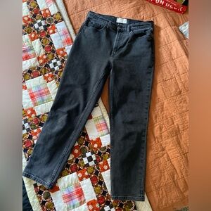 EVERLANE Organic Cotton Original Cheeky Jean